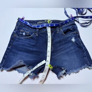 Universal Thread Dark Blue Jean Shorts